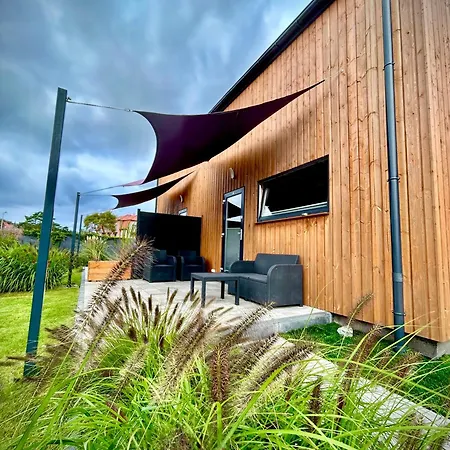 Rafa Мендзыводзе