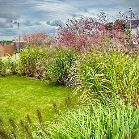 Rafa Апартаменты Мендзыводзе