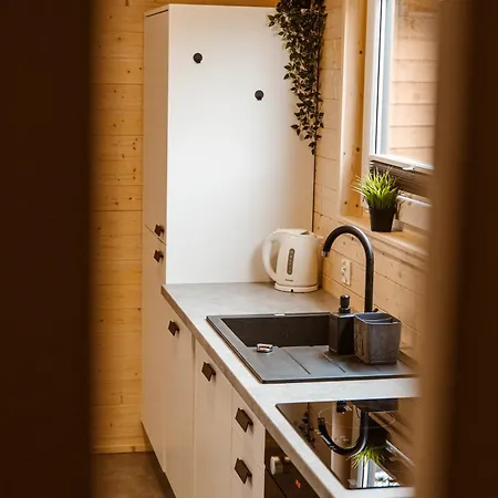 Rafa Мендзыводзе