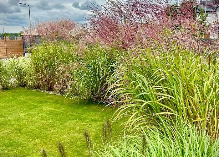 Rafa Apartamento Międzywodzie